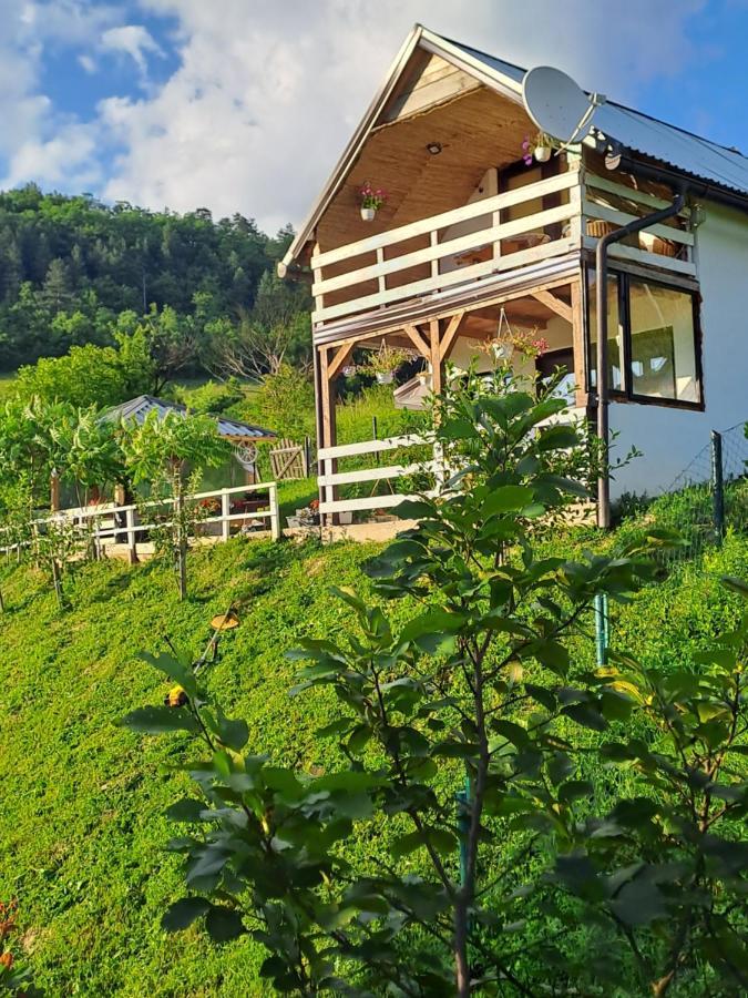 Natural House 维索科 外观 照片